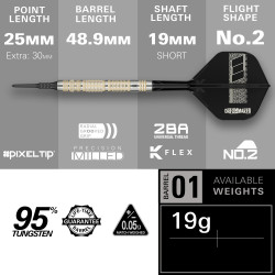 les fléchettes pointes acier Dimitri Van Den Bergh 95K SP target en 24g sont en tungsten