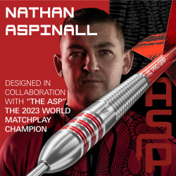 les fléchettes Nathan Aspinall brass target en 22g sont en laiton