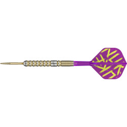 luke littler G1 prodigy SP target en 23g