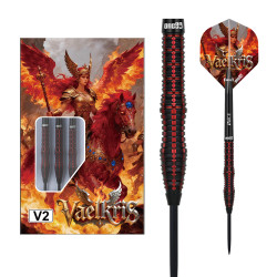 le jeu de flechette Vaelkris V2 one80 est en 24g