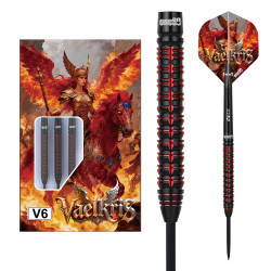 le jeu de flechette Vaelkris V6 one80 est en 22g