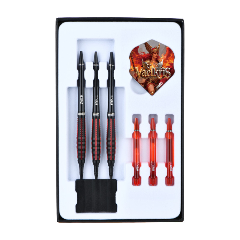 le jeu de flechette pointe nylon Vaelkris V5 elek one80 en 18g