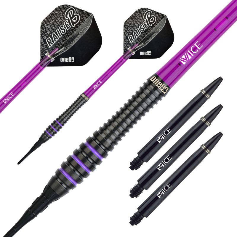 le jeu de flechette pointe nylon Raise B BPL Violet elek one80 en 17,5g
