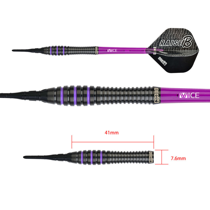 le jeu de flechette pointe nylon Raise B BPL Violet elek one80 en 17,5g