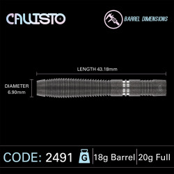 les flechettes callisto 2 elek en 20g sont vendues completes